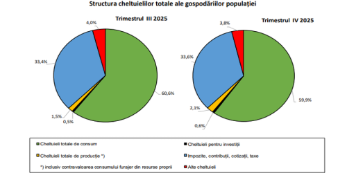 Venituri vs cheltuieli la romani: castigul mediu nu a depasit 4.000 lei (Raportul)