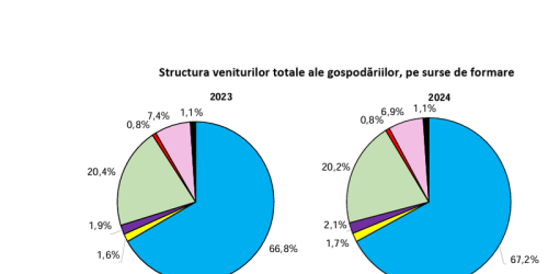 Veniturile medii lunare ale romanilor, 3.300 lei, cheltuielile au fost de 2.800 lei (Raportul)