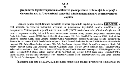 Vot in Senat pe proiectul care prevede ca statul sa plateasca salariul bonei pentru ingrijirea copiilor (Avizul)