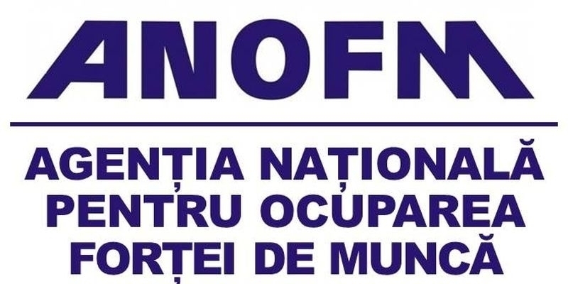 Antreprenorii apeleaza la muncitorii straini din cauza deficitului fortei de munca din Romania. Aflati care sunt cele mai cautate meserii