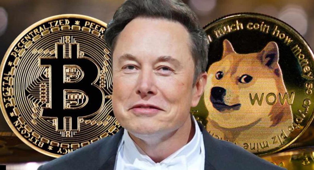 DODGECOIN, DIN NOU PE VAL, DUPA MISCAREA LUI ELON MUSK – Pretul criptomonedei creste cu 30% dupa ce seful Tesla a trolat logo-ul Twitter, inlocuind celebra 