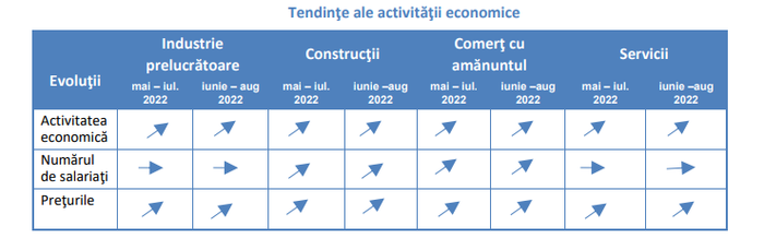 IAR CRESC PRETURILE – INS a anuntat domeniile in care vor avea loc scumpiri (Document)