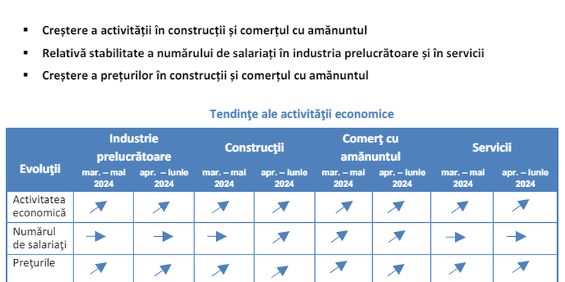  Ancheta INS: noi cresteri de preturi (Document)