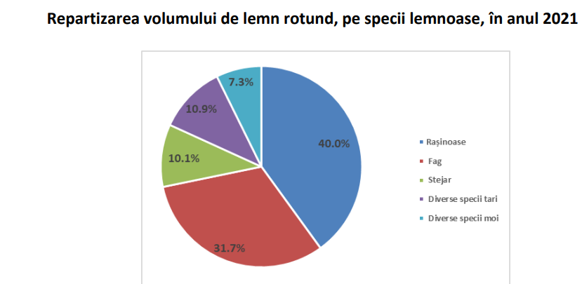 PIATA LEMNULUI: VOLUMUL EXPLOATAT – Operatorii economici dau raportul (Document)