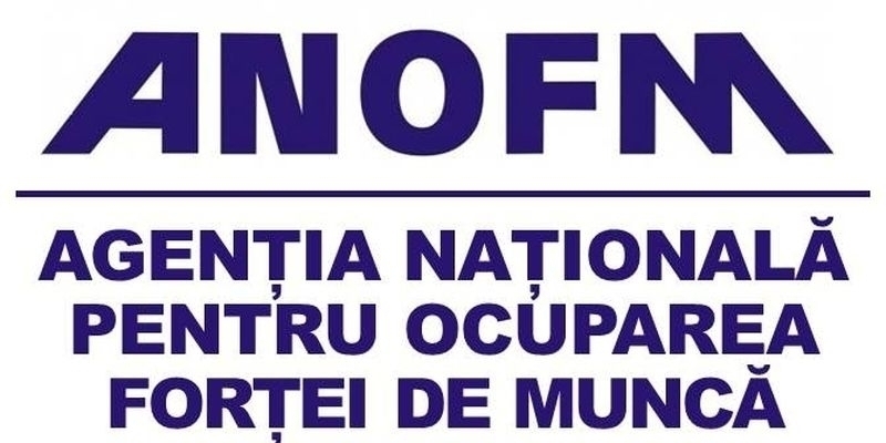 Raport pe piata muncii. Iata oferta antreprenorilor