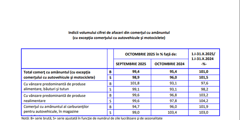 Raportul INS pe afacerile din comert (Document)