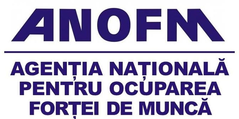 Ultimele cifre privind rata somajului